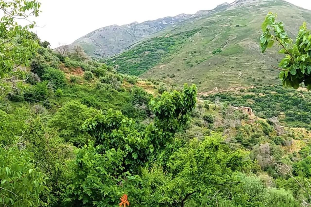 Casa Pappadiana Traditional Stonehouse Villa Kefálion Dış mekan fotoğraf